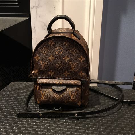 palm springs mini backpack lv|louis vuitton backpack mini price.